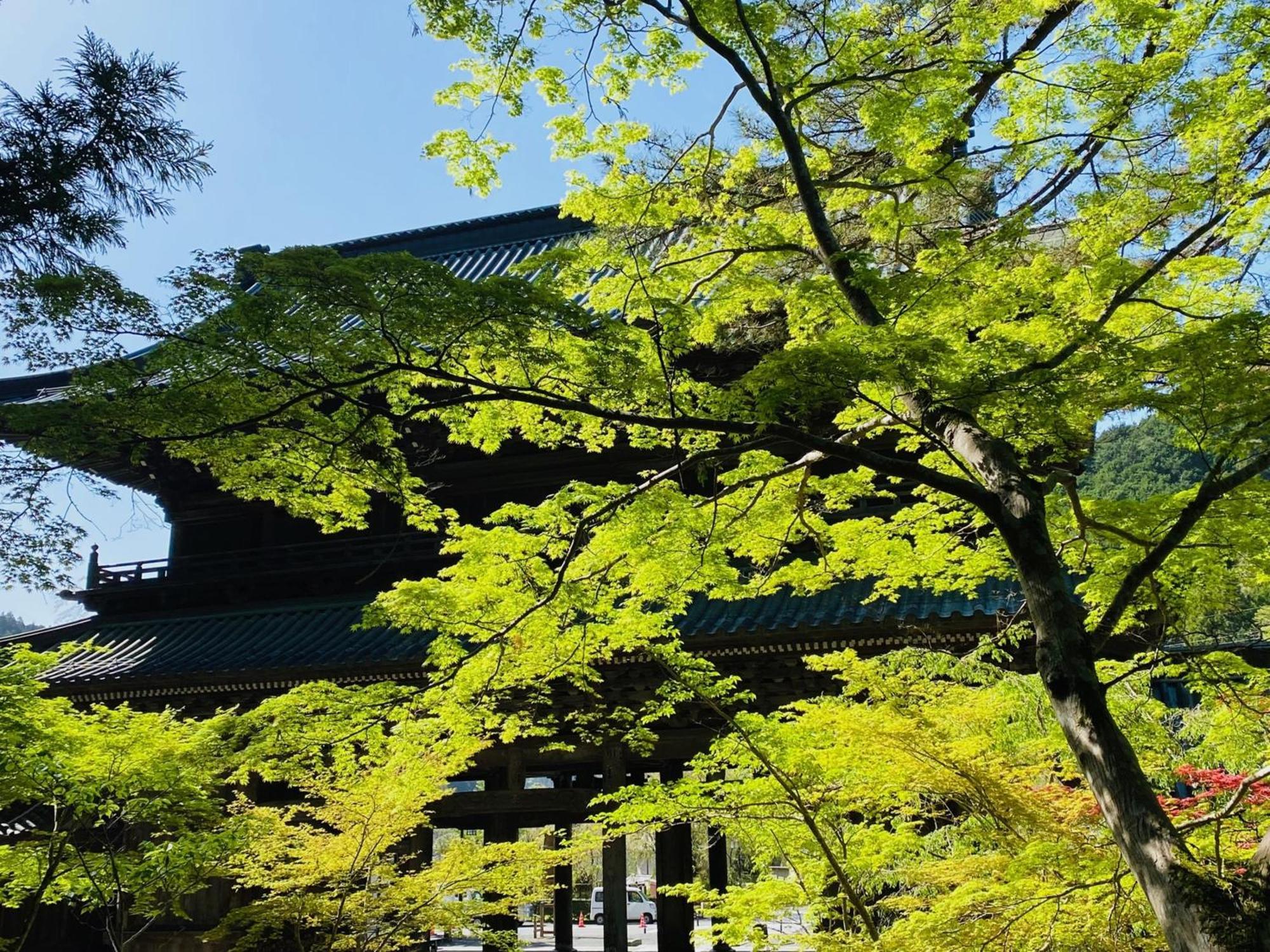 Ryokan Tanakaya Minobu Экстерьер фото