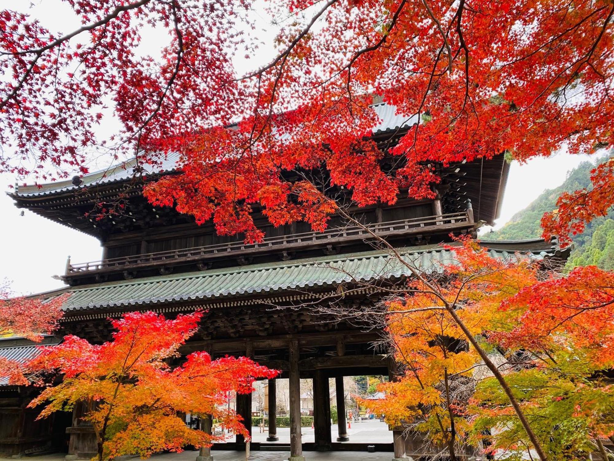 Ryokan Tanakaya Minobu Экстерьер фото