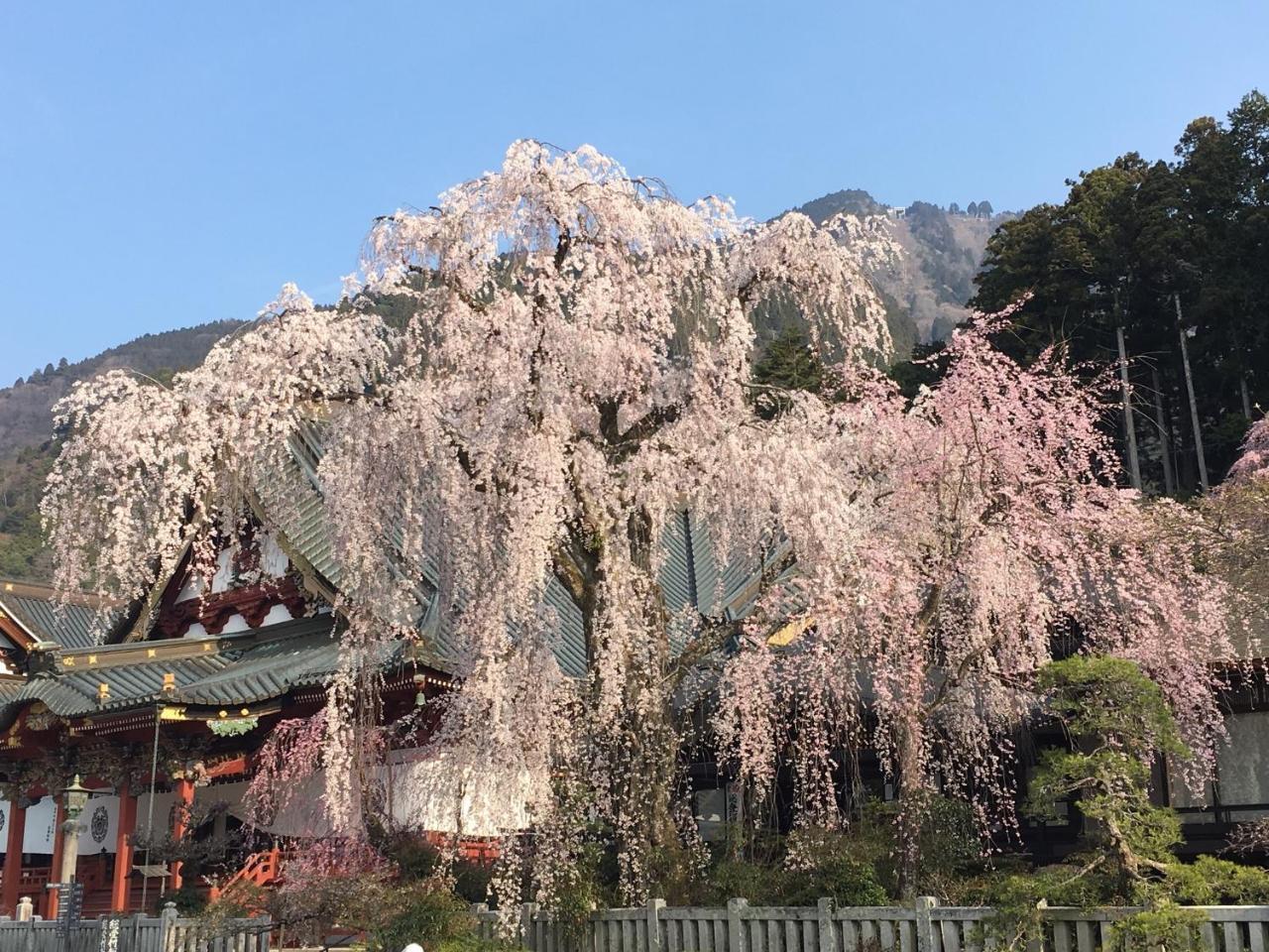 Ryokan Tanakaya Minobu Экстерьер фото