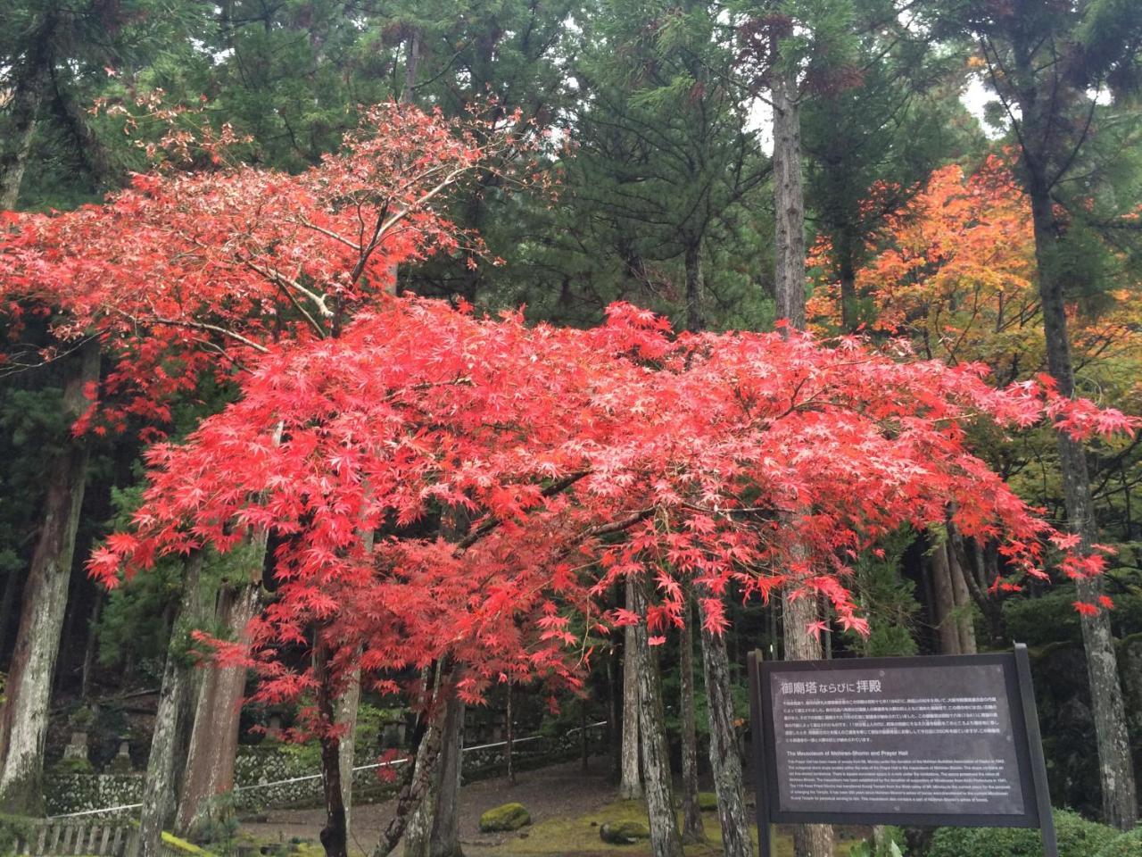 Ryokan Tanakaya Minobu Экстерьер фото